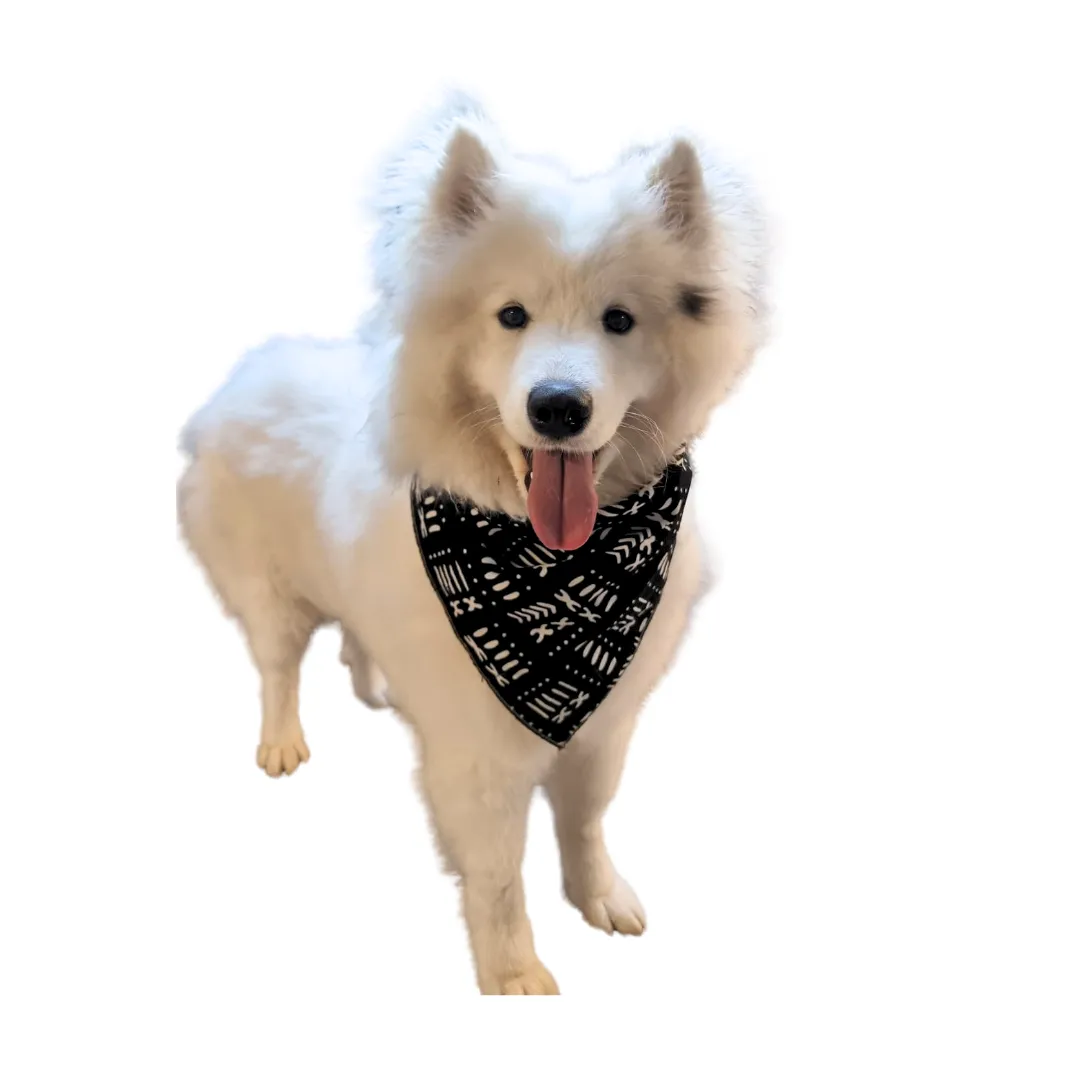 Kali Bandana